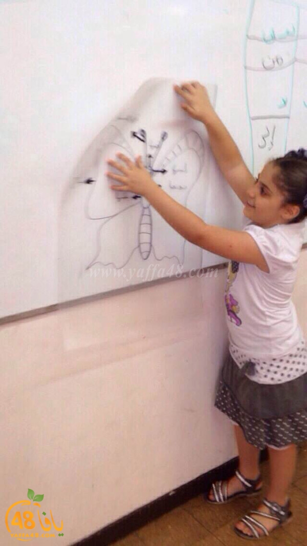 okhowajfash (10).JPG